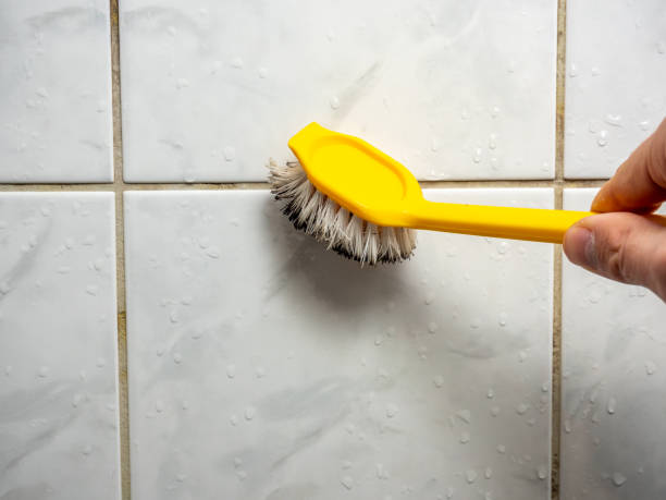 Best Emergency Mold Removal  in Brunswick, NC