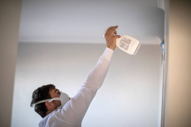 Best Mold Testing  in Brunswick, NC