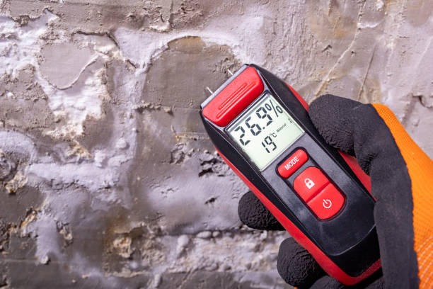 Best Professional Mold Removal  in Brunswick, NC