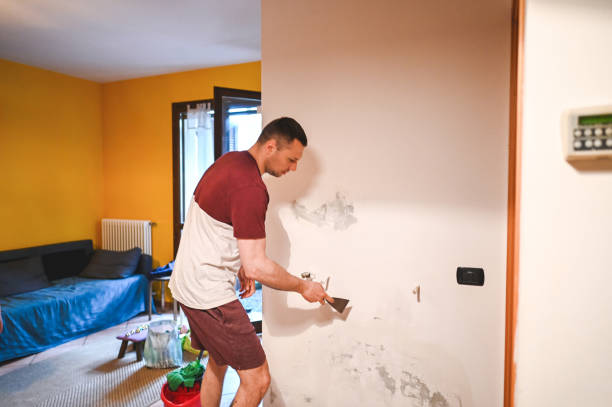 Best Toxic Mold Removal  in Brunswick, NC