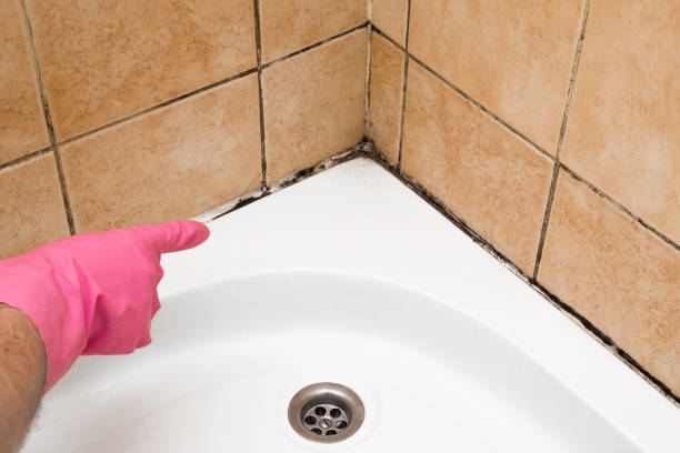 Best Residential Mold Removal  in Brunswick, NC